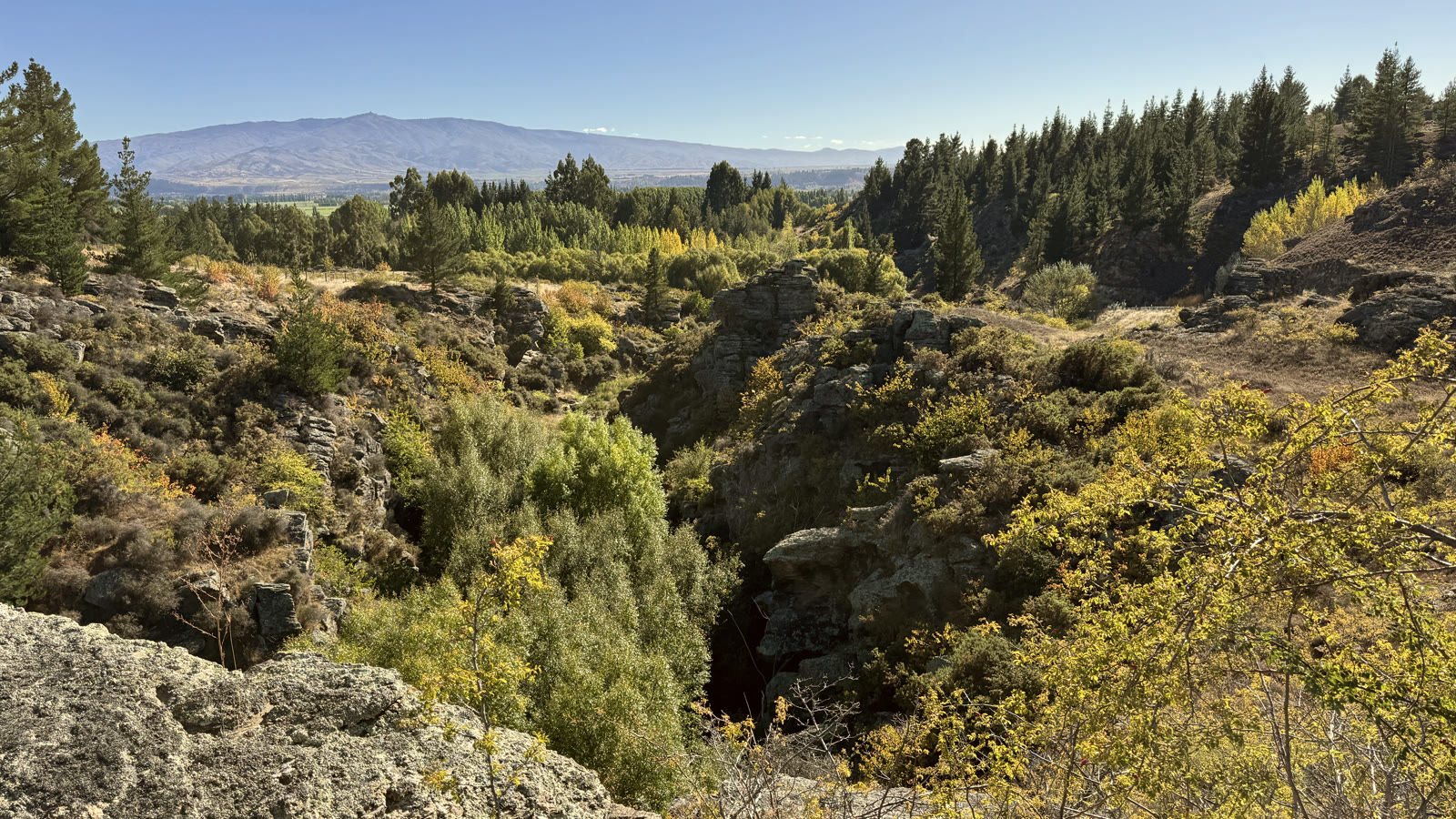 The real Canyon View Domes site — schist rock and pines above the canyon, ranges beyond under a Central Otago sky